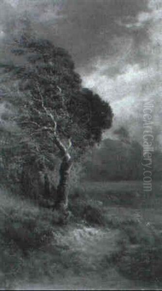 Due Scorci Di Bosco - view 1