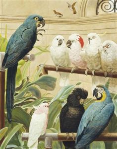 A Select Committee