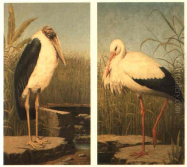 Studies Of Birds - view 1