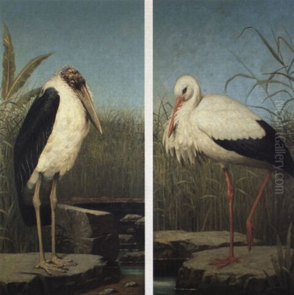 Studies Of Birds - view 1