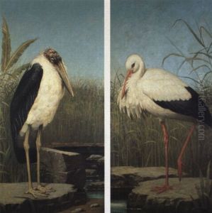 Studies Of Birds by Henry Stacy Marks