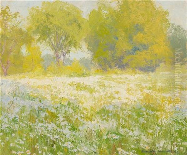 Spring Meadow - view 1