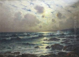 Rivage Au Clair De Lune