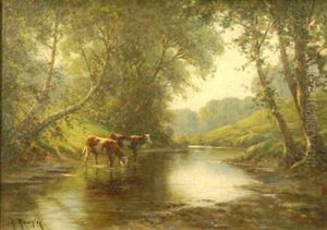 Vaches S'abreuvant