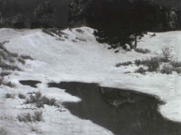 Dunenlandschaft - view 1