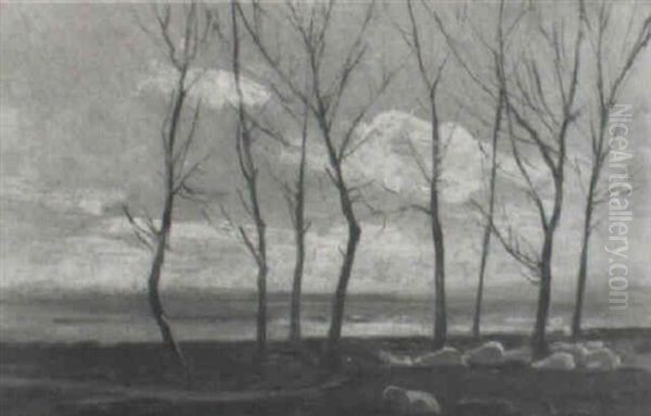 Paisaje Invernal - view 1