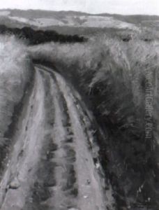 Feldweg Durch Ein Reifes Kornfeld