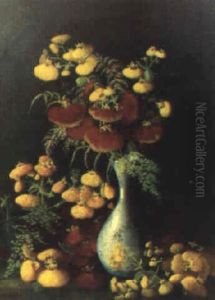 Calceo Laria (toffelblommor I Vas) Calceo Laria (toffelblommor I Vas)