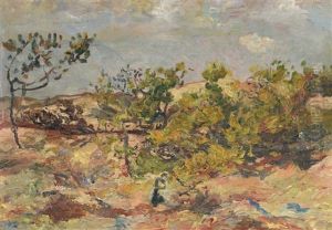 Paysage Du Midi