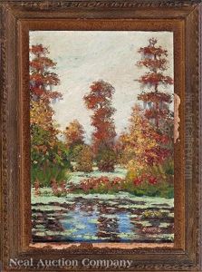 Bayou Sauvage In The Fall On The Old Spanish Trails by Peter Joseph Lawrence Mars