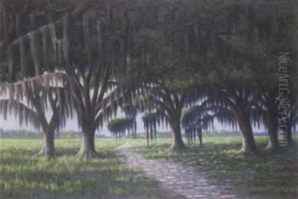 Louisiana Landscape - view 1