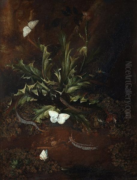 Still Life With Thistle, Lizards, Snails And Butterflies - view 1