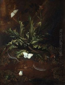 Still Life With Thistle, Lizards, Snails And Butterflies by Otto Marseus van Schrieck