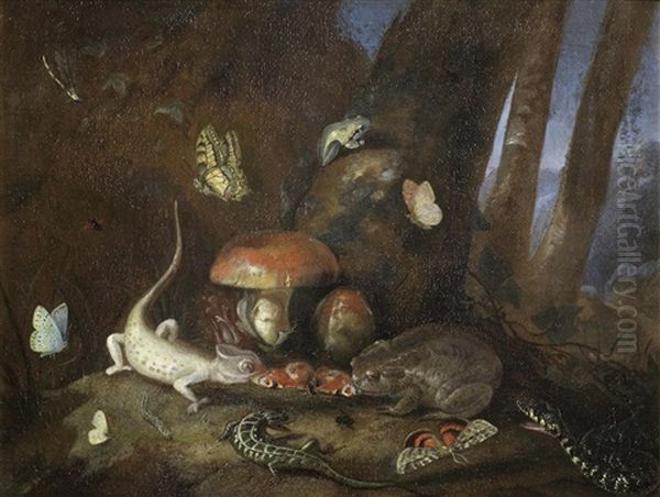 A Forest Floor With Lizards, Toads And Butterflies - view 1
