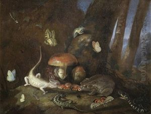 A Forest Floor With Lizards, Toads And Butterflies by Otto Marseus van Schrieck