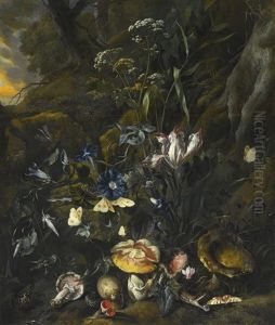 Forest Floor Still Life With Flowers, Mushrooms, Butterflies, A Snake, A Frog, And A Dragonfly