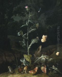 Nocturnal Forest Floor Still Life With A Thistle, Butterflies, Mushrooms And A Frog
