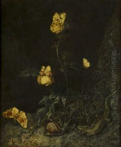 Waldstuck Mit Schmetterlingen, Schnecke Und Eidechse