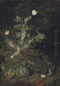 A Forest Floor With A Small White And Other Butterflies, A Snail, A Spider, A Snake And Other Insects