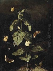 A Forest Floor Still Life With A Grand Surprise (nymphalis Antiopa), A Large Tortoiseshell (nymphalis Polychloros), A Small White (pieris Rapae)... by Otto Marseus van Schrieck
