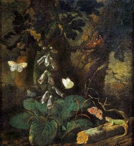 Sottobosco