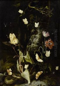 Waldstilleben Mit Schmetterlingen, Schlange, Frosch Und Libelle by Otto Marseus van Schrieck
