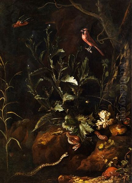 Grosses Stilleben Mit Zwei Schlangen, Krote, Spinne Und Anderen Kleintieren - view 1