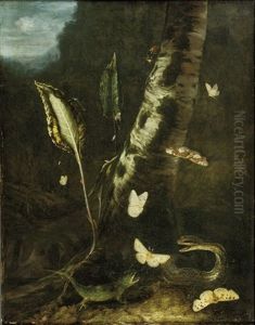 A Forest Floor With A Lizard, A Snake And Butterflies by Otto Marseus van Schrieck