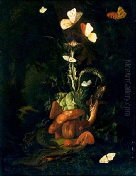 Nature Morte, Insectes Et Papillons - view 1