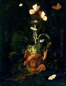 Nature Morte, Insectes Et Papillons by Otto Marseus van Schrieck