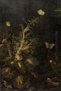 Waldstilleben Mit Insekten, Schmetterlingen Und Eidechsen by Otto Marseus van Schrieck