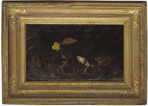A Forest Floor With Frogs, A Lizard, A Snail And Butterflies - view 1