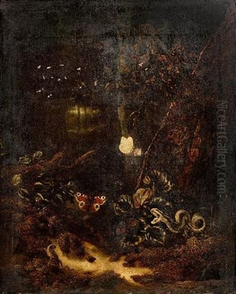 A Forest Floor Still Life With A Snake, Two Butterflies And A Lizard - view 1