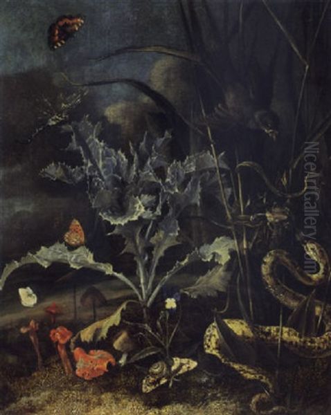 A Forest Floor Still Life With A Milk Thistle, Mushrooms, A Wood Snail, A Blue, A Queen Of Spain Fritillary, An Emperor Moth......... - view 1