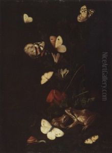 Nature Morte Au Chardon, Papillons, Grenouille Et Escargot