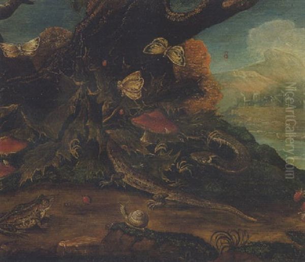 Eidechsen, Frosch, Kafer Und Schmetterlinge - view 1