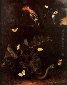 A Nocturnal Sitll Life With A Snake, Butterflies And A Hoopoe