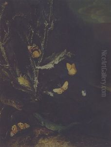 Sottobosco Mit Distel, Schlange, Echse Und Schmetterlinge by Otto Marseus van Schrieck