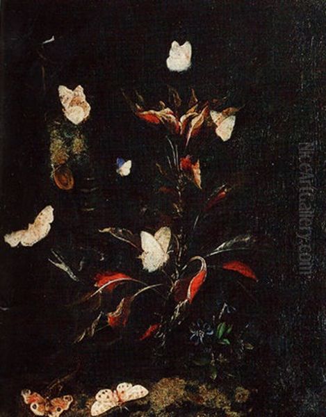 A Lizard, A Snake, Butterflies And Moths On A Forest Floor - view 1