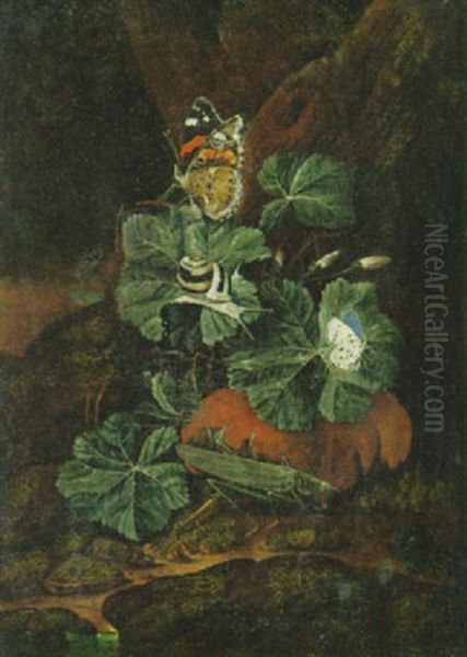 Heuschrecke, Schnecke Und Schmetterlinge Auf Blattwerk Und Kurbisfrucht Am Waldboden - view 1