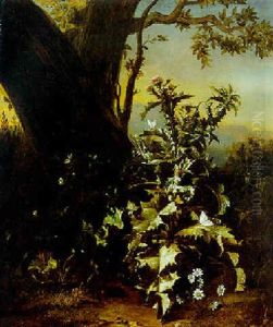 Portrat Einer Distel Im Waldesgrund