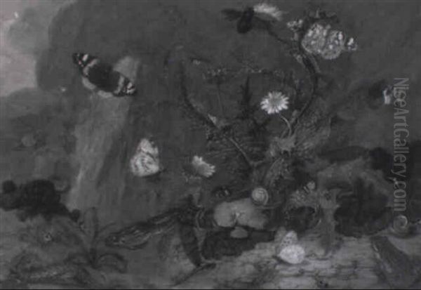 Bosco Con Insetti, Fiori E Farfalle - view 1