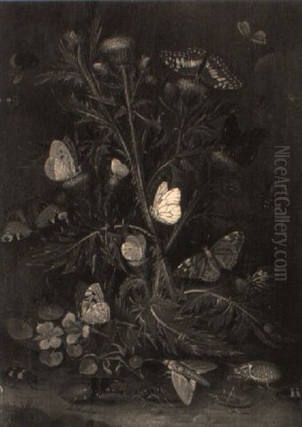 A Thistle With Butterflies, Moths And Beetles - view 1