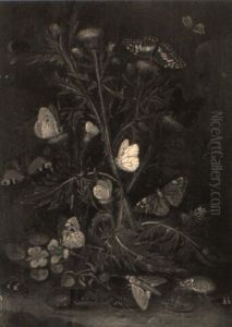 A Thistle With Butterflies, Moths And Beetles by Otto Marseus van Schrieck