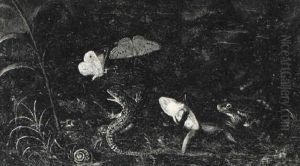 Etude De Sous-bois:  Lezard, Papillons Et Crapeaux by Otto Marseus van Schrieck