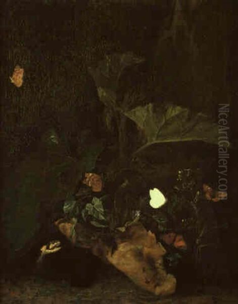 Snake Emerging From Beneath Undergrowth And Scattering Butterflies - view 1
