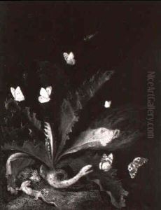 Nature Morte Aux Papillons, Libellule, Serpent Et Lezard