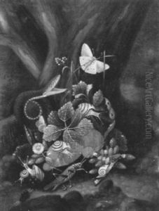 A Forest Floor Still Life With Snails, A Viper Grasshopper  And A Butterfly By A Tree Stump