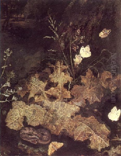A Forest Floor Still Life - view 1