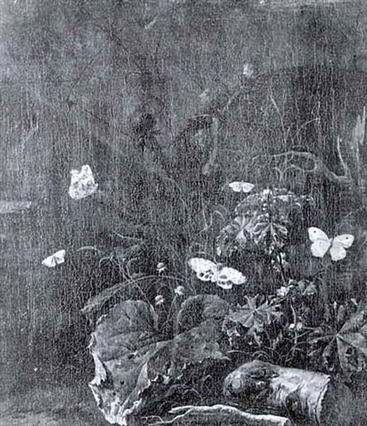 Stilleben - view 1